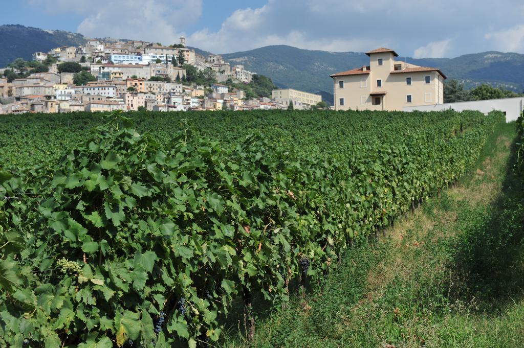Cincinnato Wine Resort Cori 외부 사진