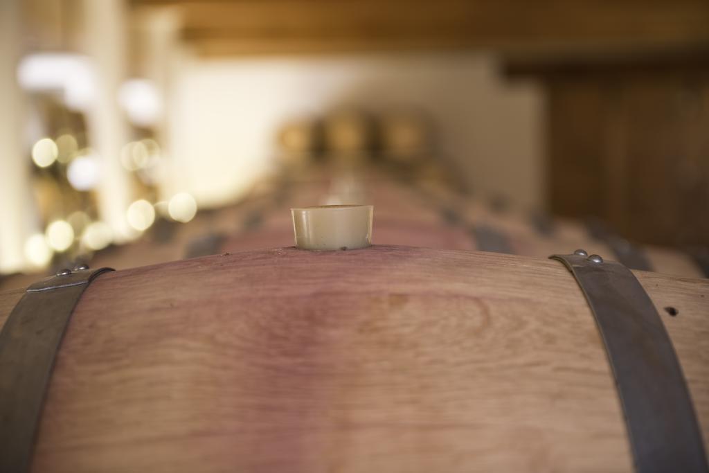 Cincinnato Wine Resort Cori 외부 사진
