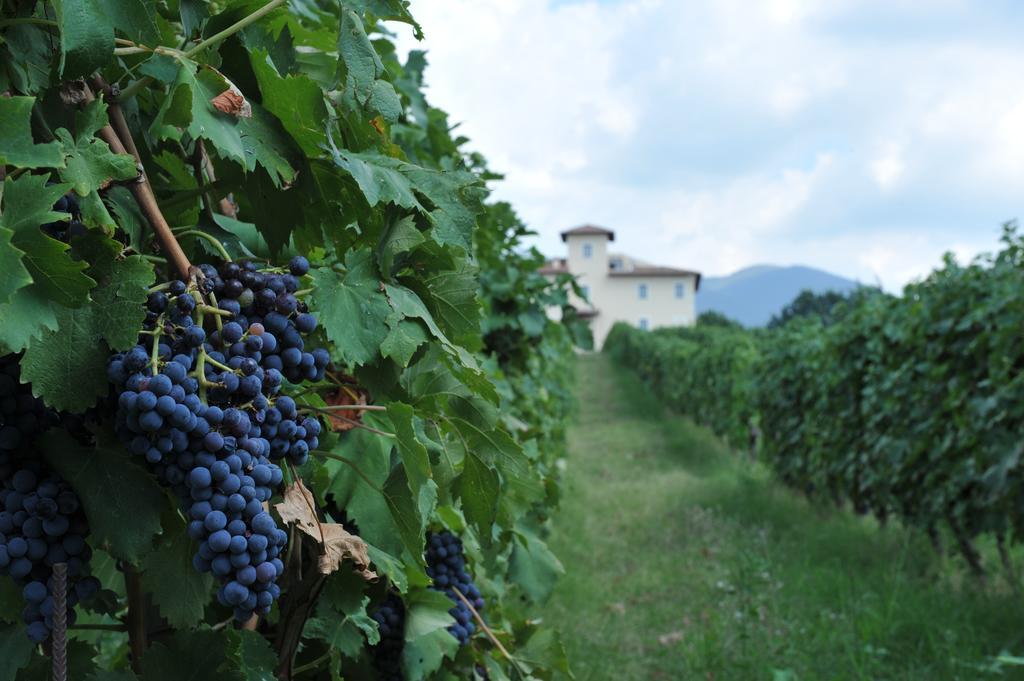 Cincinnato Wine Resort Cori 외부 사진