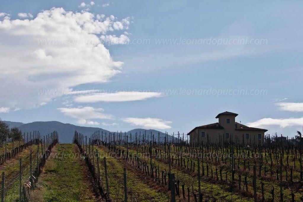 Cincinnato Wine Resort Cori 외부 사진