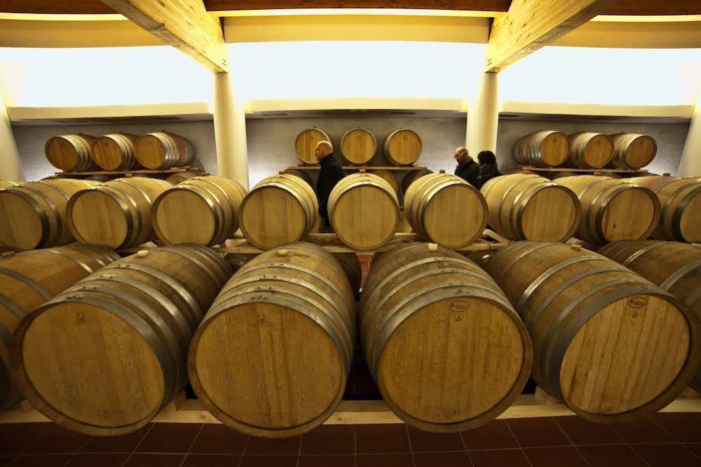 Cincinnato Wine Resort Cori 외부 사진